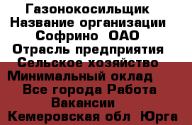 Газонокосильщик › Название организации ­ Софрино, ОАО › Отрасль предприятия ­ Сельское хозяйство › Минимальный оклад ­ 1 - Все города Работа » Вакансии   . Кемеровская обл.,Юрга г.